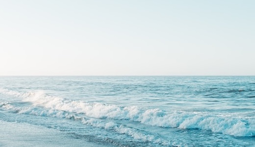 保護中: テスト